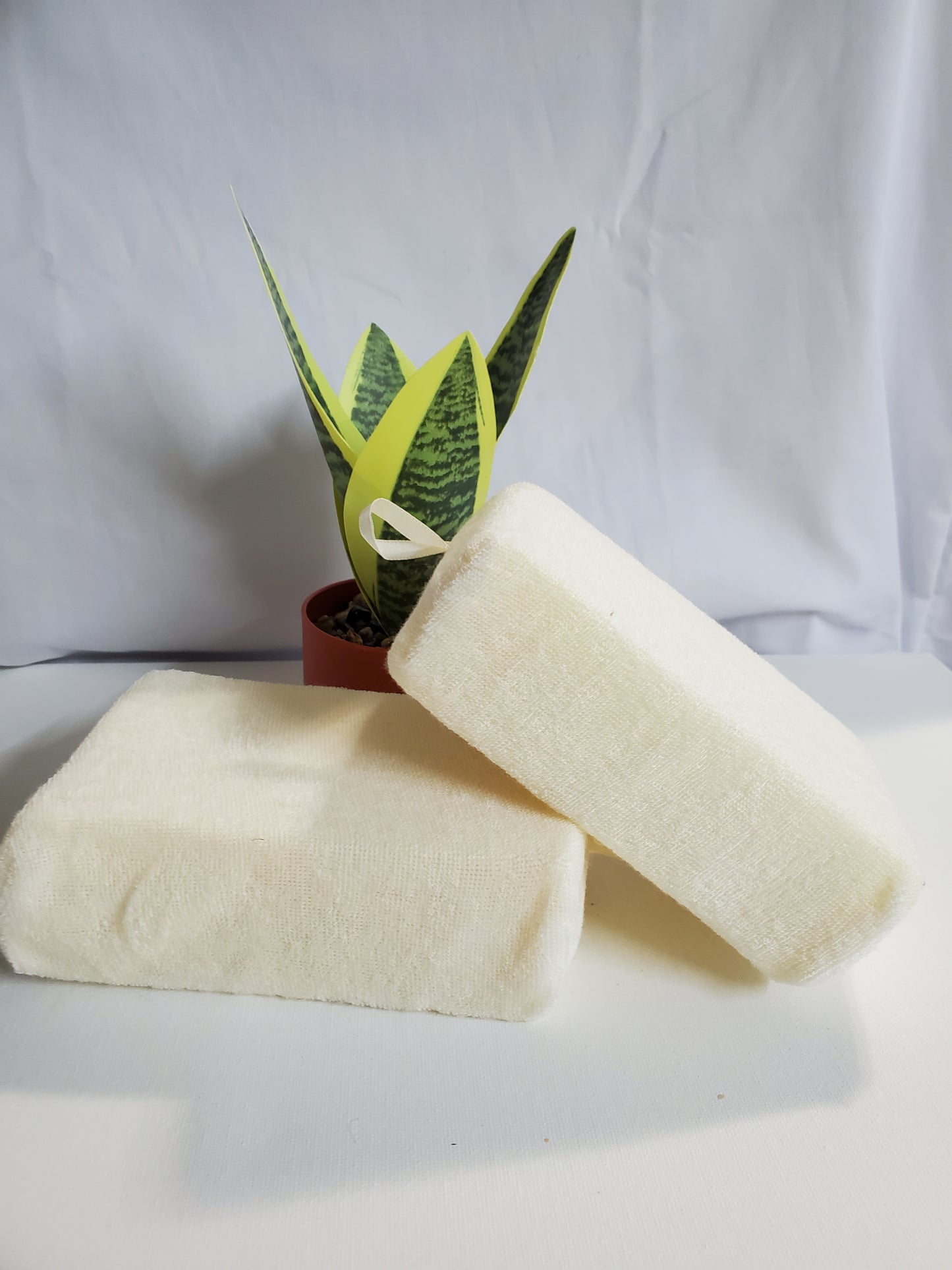 Bath and Shower Sponge