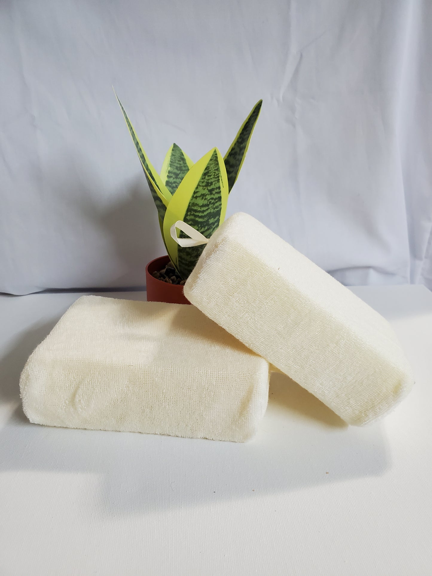 Bath and Shower Sponge