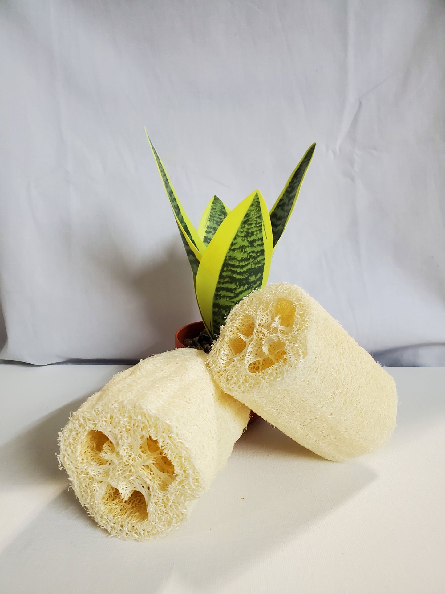 Large Loofah Sponges