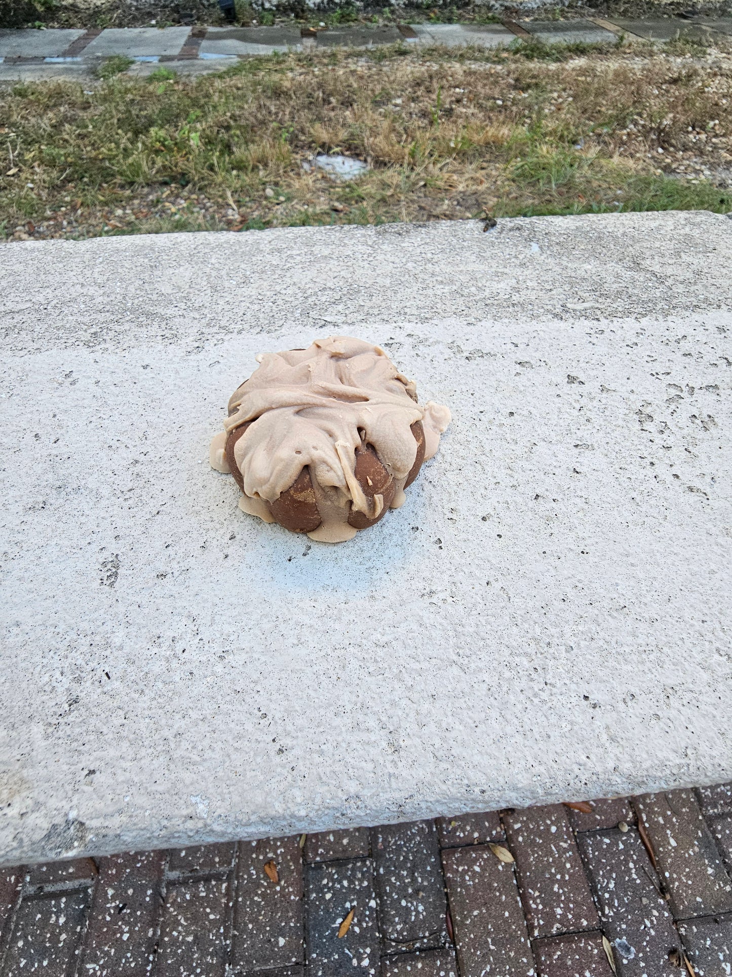Pumpkin Spice Caps - SOAP