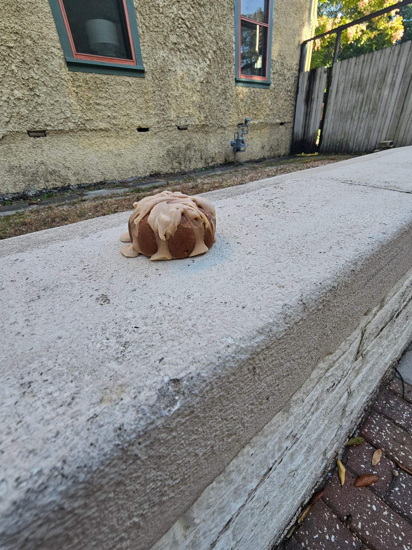 Pumpkin Spice Caps - SOAP